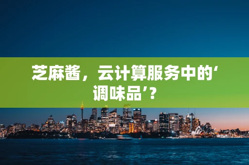 芝麻酱，云计算服务中的‘调味品’？