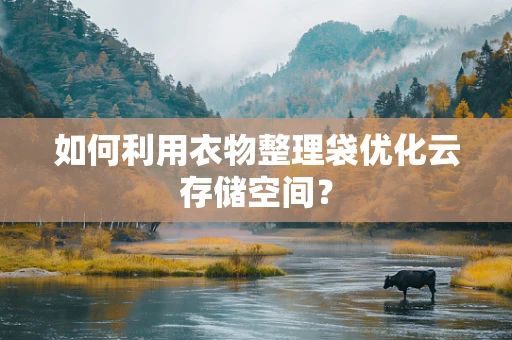 如何利用衣物整理袋优化云存储空间？