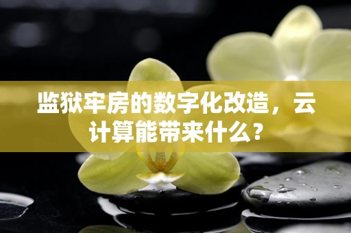 监狱牢房的数字化改造，云计算能带来什么？