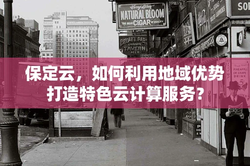 保定云，如何利用地域优势打造特色云计算服务？