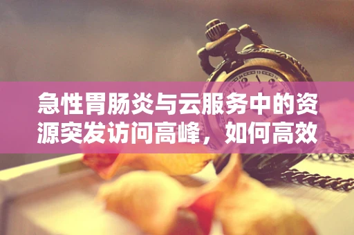 急性胃肠炎与云服务中的资源突发访问高峰，如何高效应对？