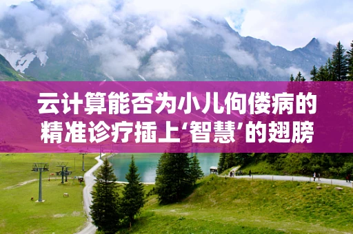 云计算能否为小儿佝偻病的精准诊疗插上‘智慧’的翅膀？