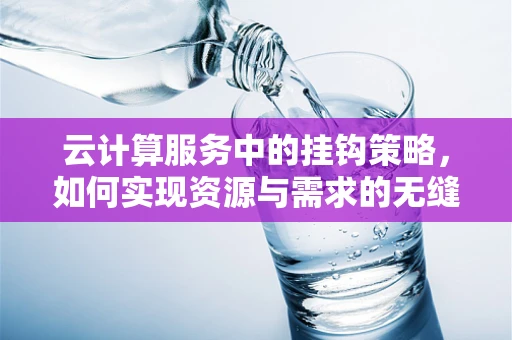 云计算服务中的挂钩策略，如何实现资源与需求的无缝对接？