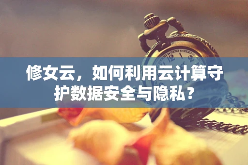 修女云，如何利用云计算守护数据安全与隐私？