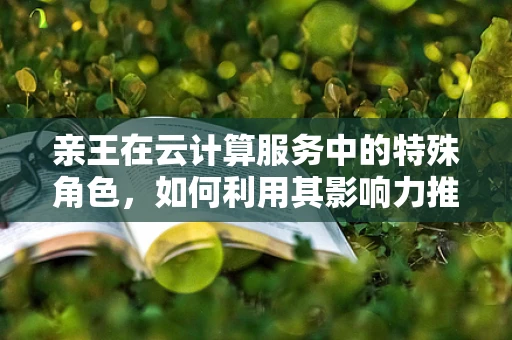 亲王在云计算服务中的特殊角色，如何利用其影响力推动技术创新？