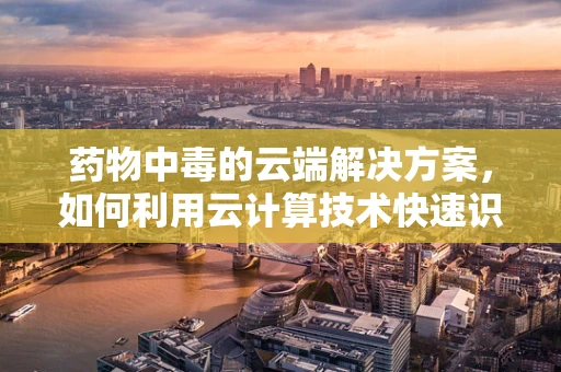 药物中毒的云端解决方案，如何利用云计算技术快速识别与干预？