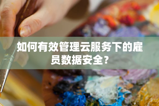 如何有效管理云服务下的雇员数据安全？