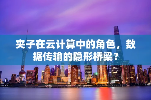夹子在云计算中的角色，数据传输的隐形桥梁？
