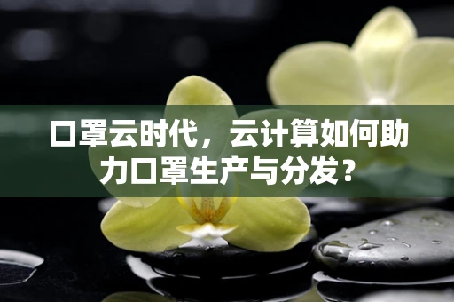 口罩云时代，云计算如何助力口罩生产与分发？