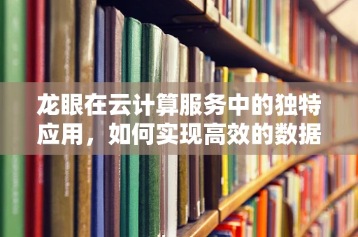 龙眼在云计算服务中的独特应用，如何实现高效的数据存储与处理？