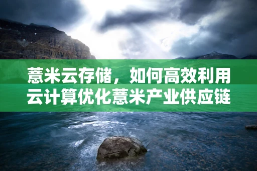 薏米云存储，如何高效利用云计算优化薏米产业供应链管理？