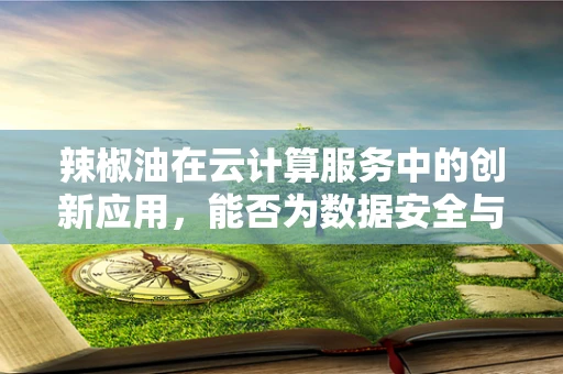 辣椒油在云计算服务中的创新应用，能否为数据安全与用户体验带来‘火辣’提升？