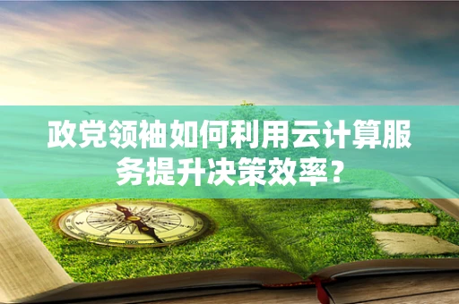 政党领袖如何利用云计算服务提升决策效率？