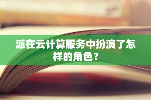 派在云计算服务中扮演了怎样的角色？