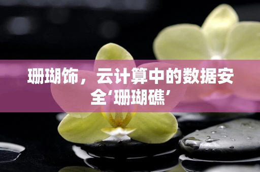 珊瑚饰，云计算中的数据安全‘珊瑚礁’