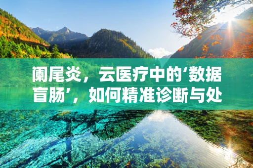 阑尾炎，云医疗中的‘数据盲肠’，如何精准诊断与处理？