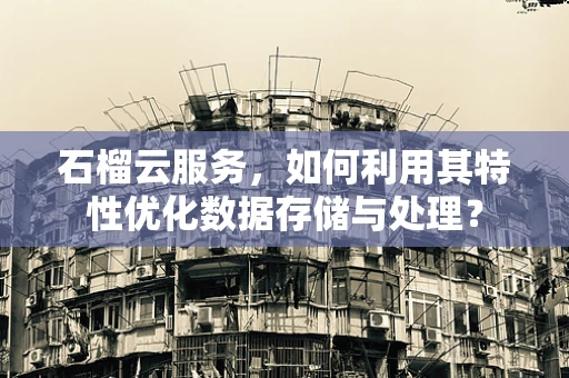 石榴云服务，如何利用其特性优化数据存储与处理？