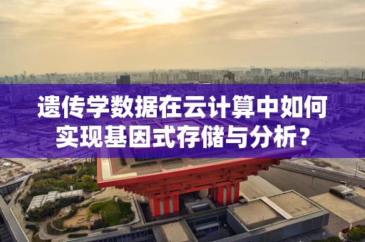 遗传学数据在云计算中如何实现基因式存储与分析？