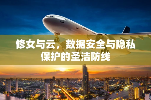 修女与云，数据安全与隐私保护的圣洁防线