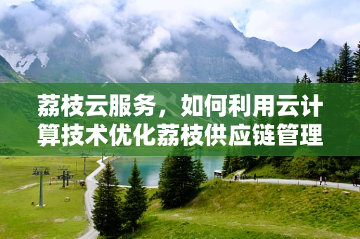 荔枝云服务，如何利用云计算技术优化荔枝供应链管理？