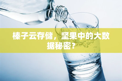 榛子云存储，坚果中的大数据秘密？