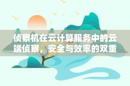 侦察机在云计算服务中的云端侦察，安全与效率的双重挑战？