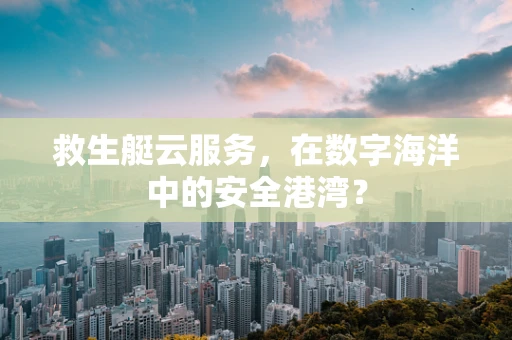 救生艇云服务，在数字海洋中的安全港湾？