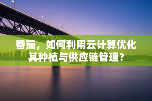 番茄，如何利用云计算优化其种植与供应链管理？