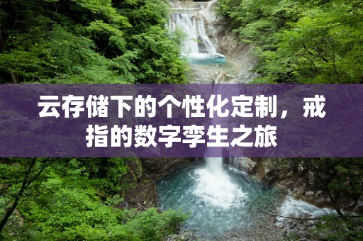 云存储下的个性化定制，戒指的数字孪生之旅
