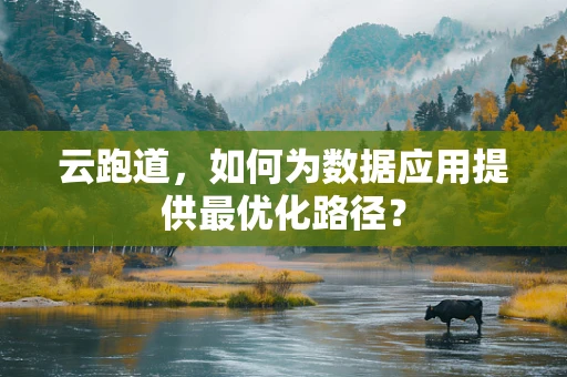 云跑道，如何为数据应用提供最优化路径？
