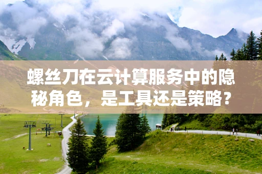螺丝刀在云计算服务中的隐秘角色，是工具还是策略？