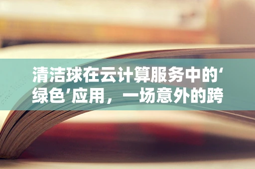 清洁球在云计算服务中的‘绿色’应用，一场意外的跨界融合？