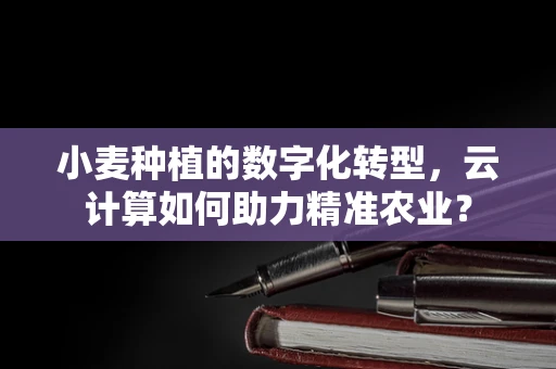 小麦种植的数字化转型，云计算如何助力精准农业？