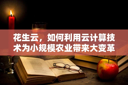 花生云，如何利用云计算技术为小规模农业带来大变革？