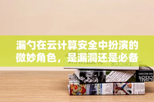 漏勺在云计算安全中扮演的微妙角色，是漏洞还是必备工具？