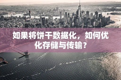 如果将饼干数据化，如何优化存储与传输？