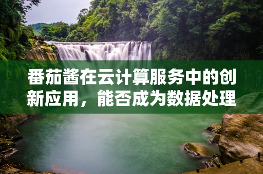 番茄酱在云计算服务中的创新应用，能否成为数据处理的‘秘密武器’？