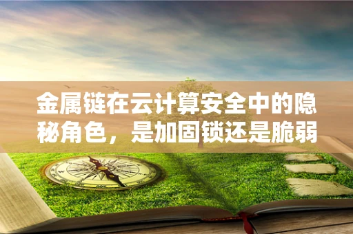 金属链在云计算安全中的隐秘角色，是加固锁还是脆弱点？