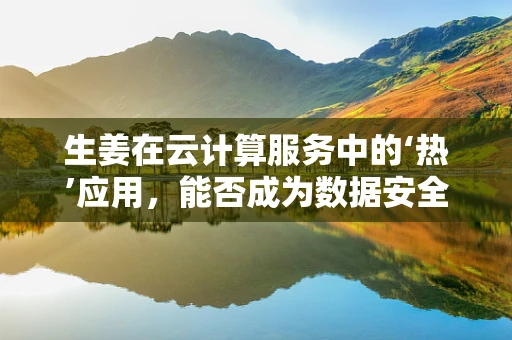 生姜在云计算服务中的‘热’应用，能否成为数据安全的‘秘制调料’？