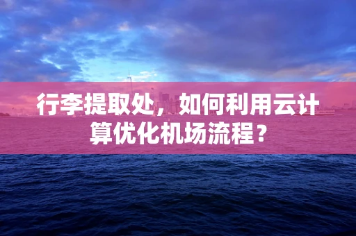 行李提取处，如何利用云计算优化机场流程？