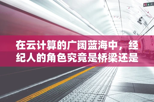 在云计算的广阔蓝海中，经纪人的角色究竟是桥梁还是障碍？