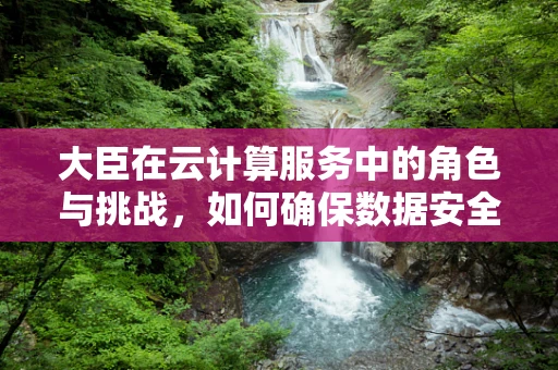 大臣在云计算服务中的角色与挑战，如何确保数据安全与高效管理？