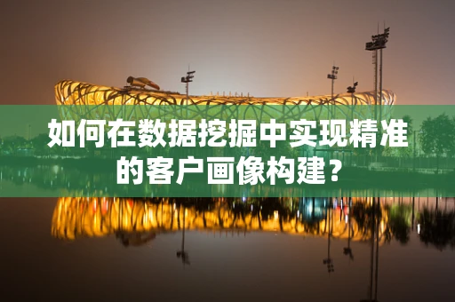 如何在数据挖掘中实现精准的客户画像构建？
