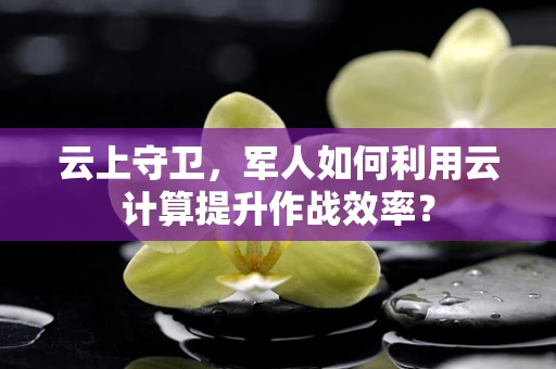 云上守卫，军人如何利用云计算提升作战效率？