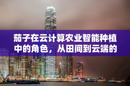 茄子在云计算农业智能种植中的角色，从田间到云端的数据桥梁