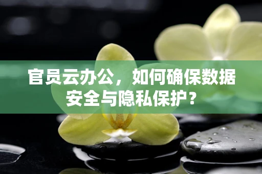 官员云办公，如何确保数据安全与隐私保护？