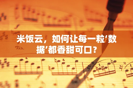 米饭云，如何让每一粒‘数据’都香甜可口？