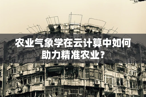 农业气象学在云计算中如何助力精准农业？