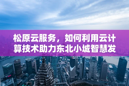 松原云服务，如何利用云计算技术助力东北小城智慧发展？