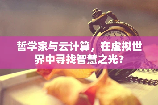 哲学家与云计算，在虚拟世界中寻找智慧之光？
